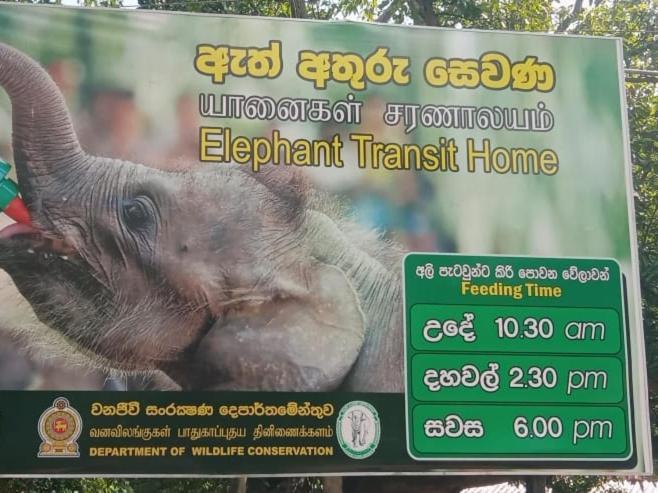 Udawalawe Wildlife & Nature Protection Bungalow Luaran gambar