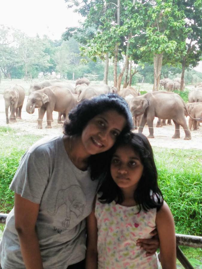 Udawalawe Wildlife & Nature Protection Bungalow Luaran gambar